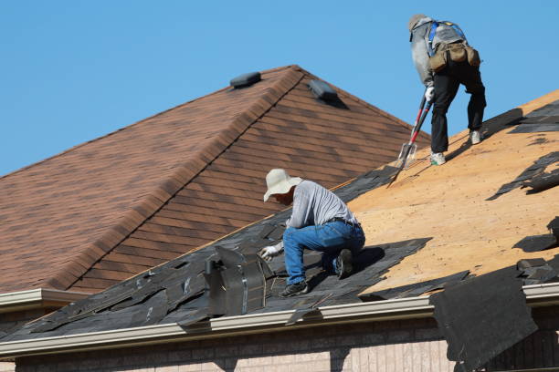 Best Solar Panel Roofing Installation  in Cut Bank, MT